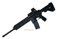 HK d.jpg